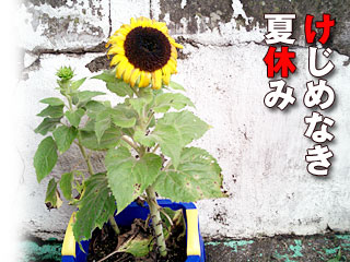 けじめなき夏休み