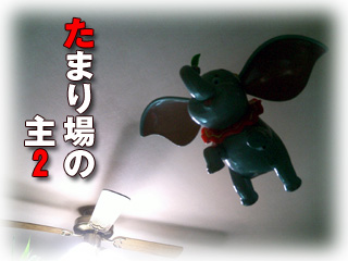 たまり場の主２